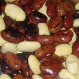 Gardeners Start Your Engines Image